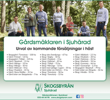 Höstens kommande försäljningar